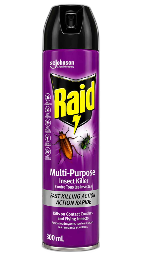 Raid Spray 300Ml